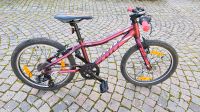 SCOTT Contessa JR 20“ Mountainbike purple metallic Rheinland-Pfalz - Essingen Vorschau