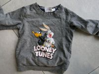 Pullover grau looney Tunes Größe 110 Bayern - Dittenheim Vorschau
