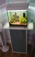 Aquarium mit Schrank und Zubehör Bayern - Donauwörth Vorschau