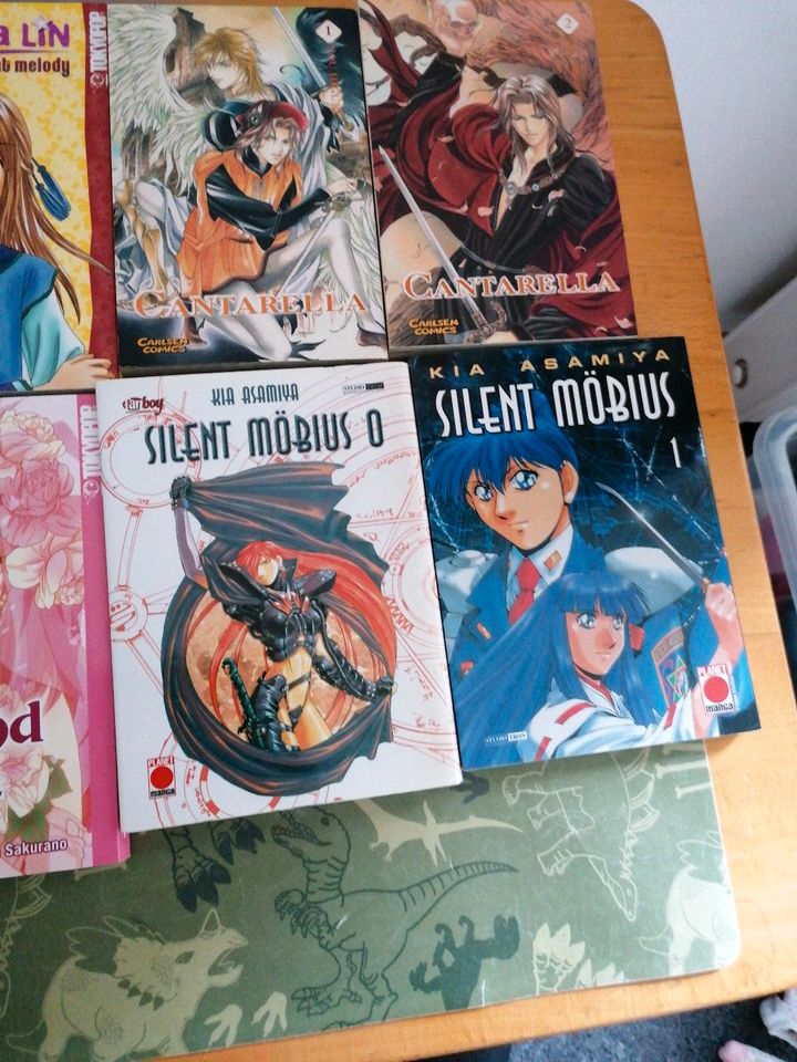 Manga Sammlung in Geroldsgrün