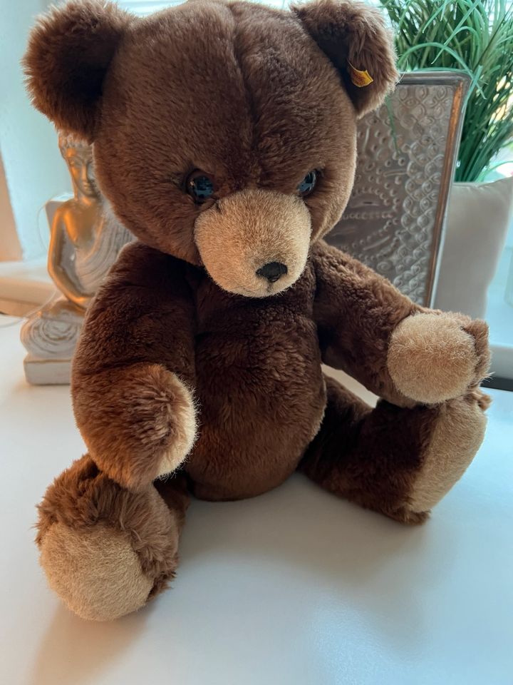 ♥️ Steiff Petsy Teddy Teddybär Bär 45 cm neuwertig in Bonn