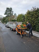 Baumfällung | Wurzelrodung | Gartenpflege Bayern - Geiselbach Vorschau