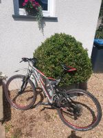 Specialized Enduro Damen Mountainbike Fahrrad Silber rot Aachen - Aachen-Mitte Vorschau