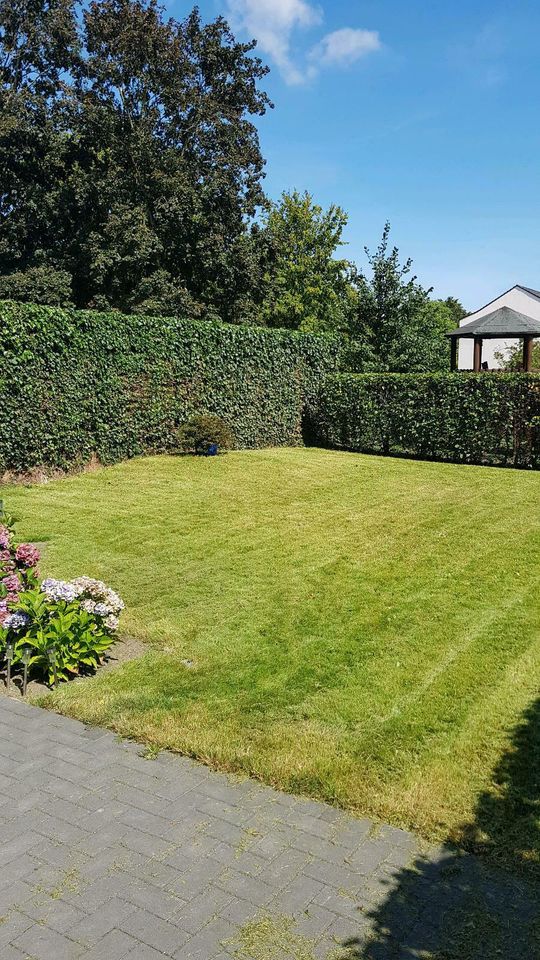 Garten Heckenschnitt schneiden Grünschnitt Sträucher Gärtner in Kleve