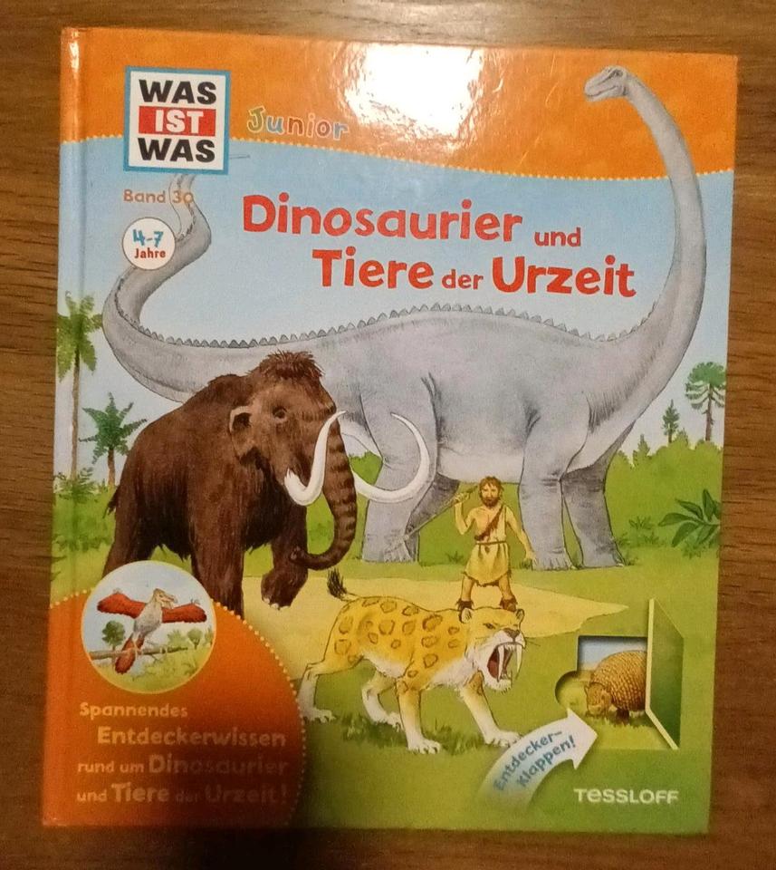 Was ist was junior Dinosaurier und Tiere der Urzeit Neuwertig in Hünxe