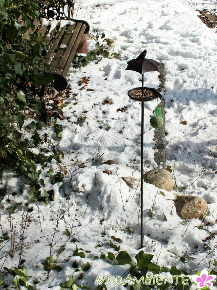 Gartenstecker Vogeltränke/Futterplatz "Schirm" in Edewecht