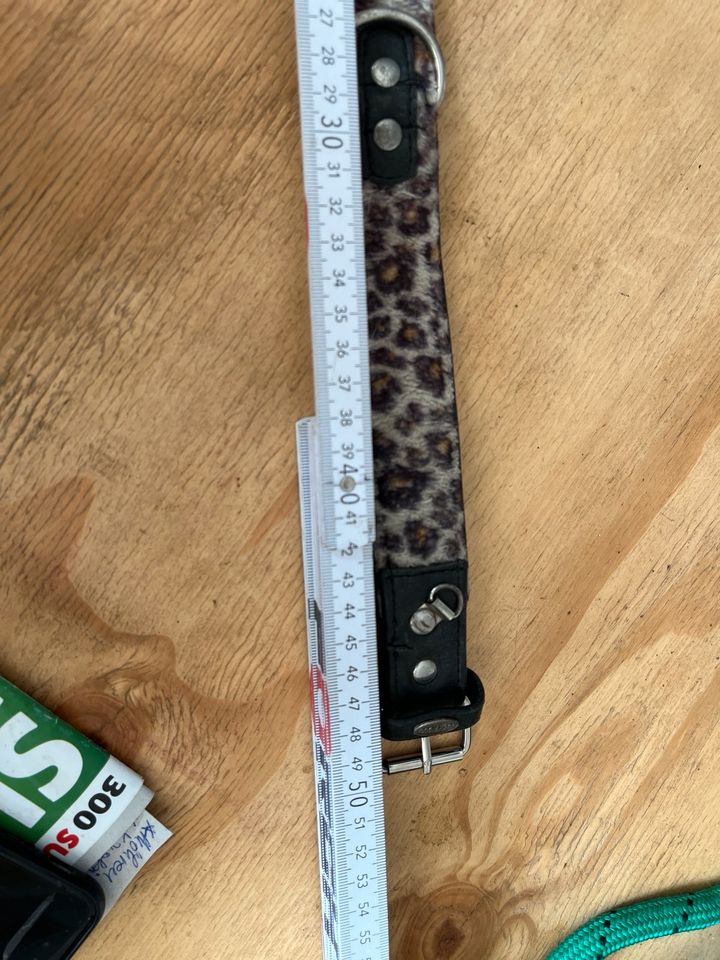 Halsband Leopard / Leo Hunde in Zahna-Elster