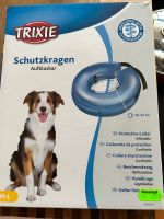 Schutzkragen für Hunde Bochum - Bochum-Wattenscheid Vorschau