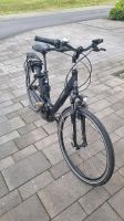 Prophete City Line E-Bike 28" Damenrad Nordrhein-Westfalen - Krefeld Vorschau
