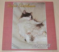 Stefan Diestelmann Rückblick Folk Blues & Boogie LP Vinyl ex DDR Bayern - Hösbach Vorschau