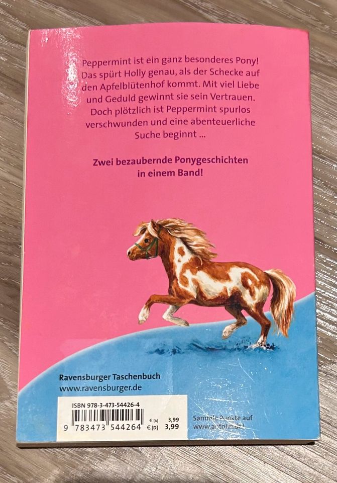 Pferdebücher und Ratekrimmi für Mädchen/Junge in Hanhofen