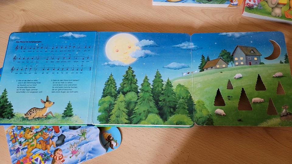 Bücher Ostern, Weihnachten, Liederbuch Weihnachten, Schlaflieder in Dresden