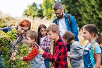 Erzieher (m/w/d) für Kita im Friesland gesucht! Niedersachsen - Schortens Vorschau