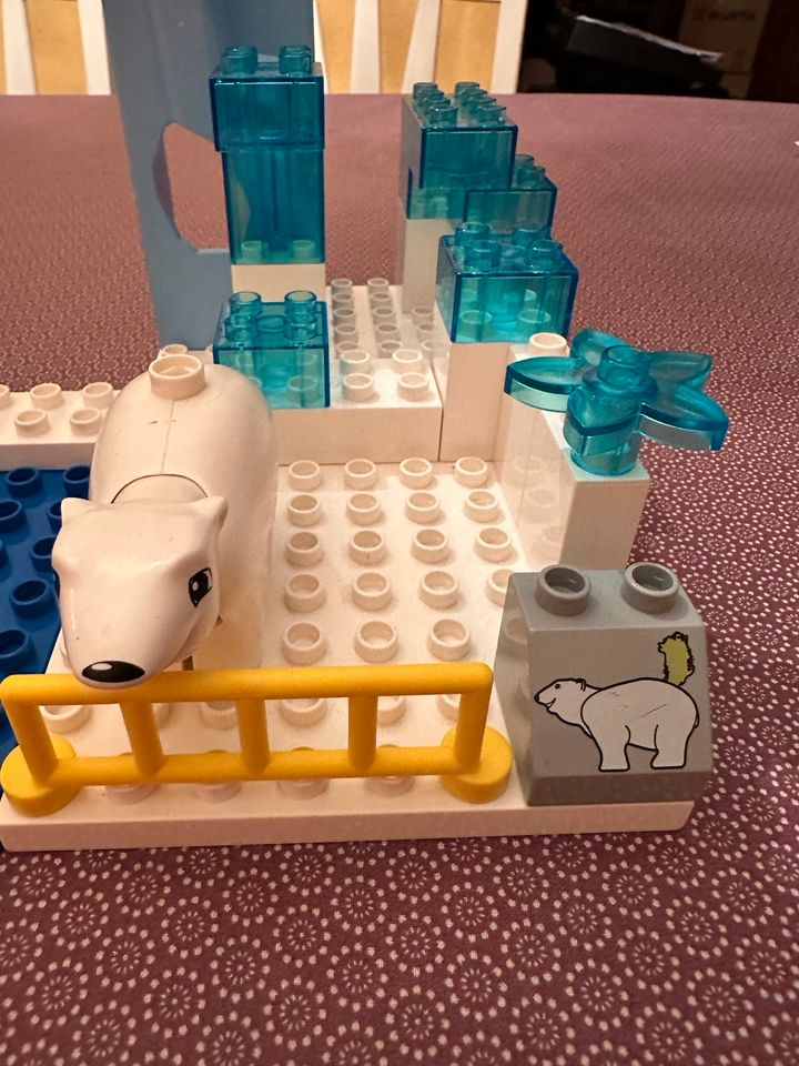 Lego Duplo Eisbär und Pinguin im Zoo in Heist