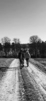 Reiterin sucht Pferd (Reitbeteiligung) Niedersachsen - Bad Gandersheim Vorschau