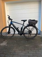 BULLS Lacuba EVO 25 Trekking Bike Bad Doberan - Landkreis - Bad Doberan Vorschau