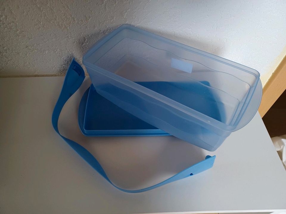 Tupperware Kastenkuchenform Junge Welle blau 34 x 5,5 x 13,5 cm in Schieder-Schwalenberg