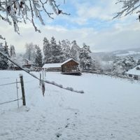 suche Landwirschaftliche Flächen Bayern - Saldenburg Vorschau