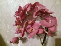 Orchidee Kunstblume pink Rheinland-Pfalz - Hamm (Sieg) Vorschau