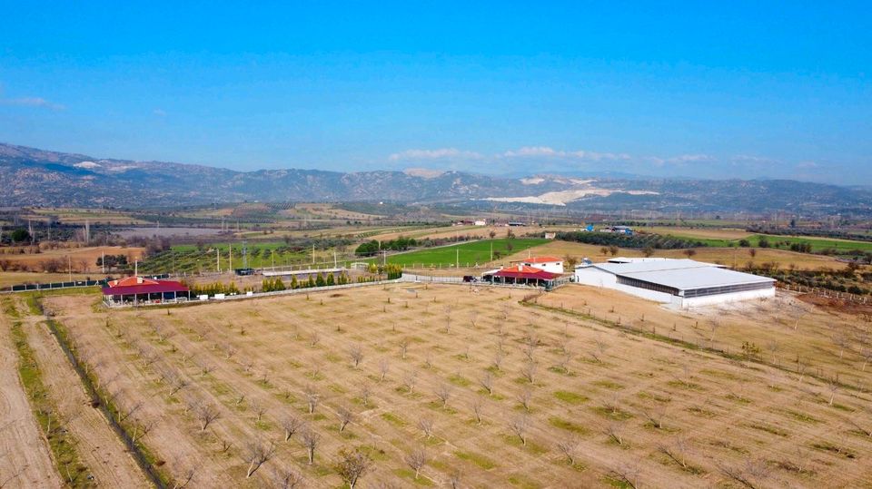 Bauernhof Ihr Träume in Yatagan,  Türkei zu verkaufen in Rodalben