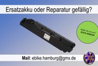 Bulls E-Bike Akku Reparatur & Ersatz | Rahmen Evo Plus Unterrohr Hamburg-Mitte - Hamburg St. Pauli Vorschau