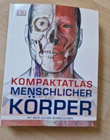 Buch über den menschlichen Körper Schleswig-Holstein - Flensburg Vorschau