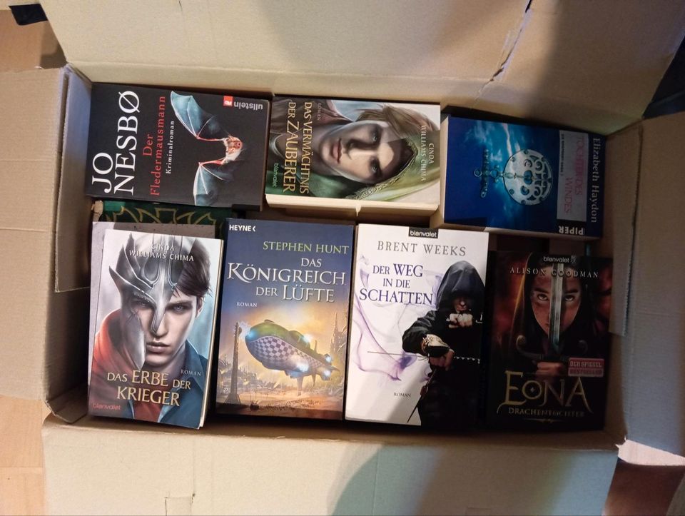 5 Kartons mit Büchern,großteils Fantasy in Tornesch