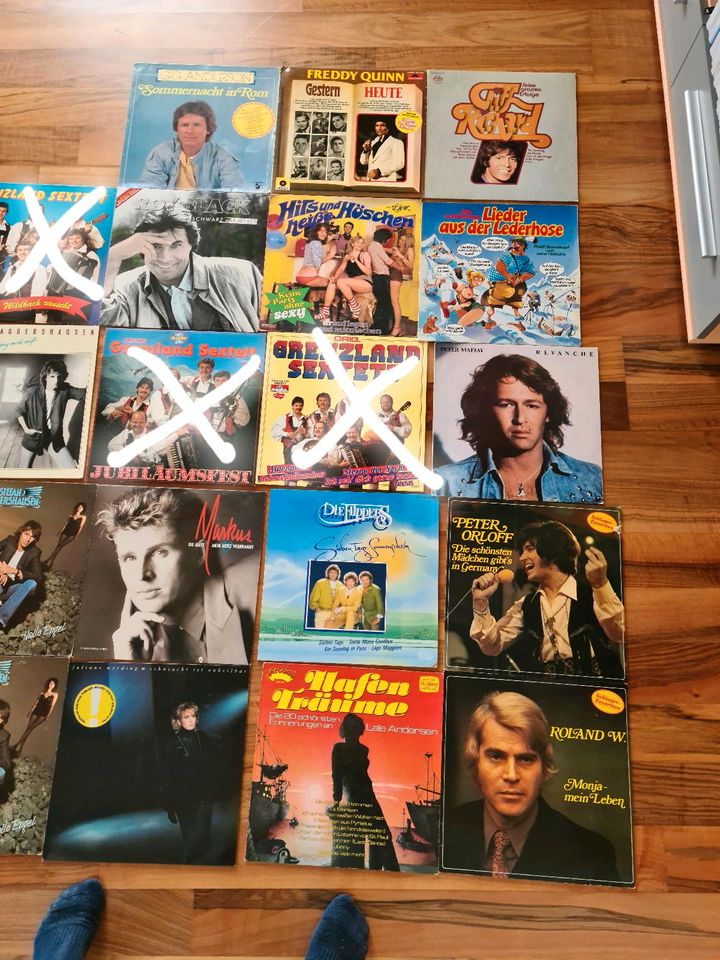 Schallplatten Sammlung, Vinyl, Roy Black, Flippers in Burglengenfeld
