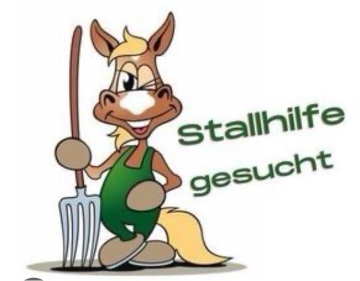Stallhilfe für privaten Pferdestall gesucht in Bechhofen