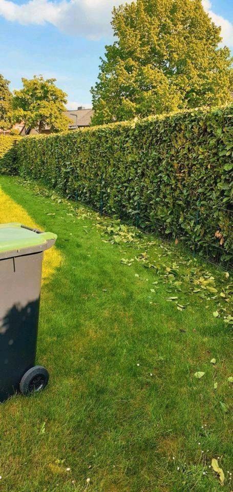 Hausmeisterservice Haus und Garten, Entrümpelung, Solar Reinigung in Salzkotten