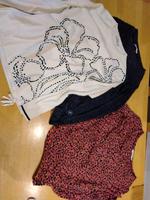 Cecil je 4 Euro Bayern - Ansbach Vorschau