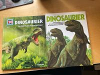 2 Bücher über Dinosaurier auch Was ist was Band 15 Sachsen - Pulsnitz Vorschau