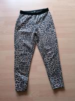 Zara Hose Leopard Print Stretch Bayern - Memmelsdorf Vorschau