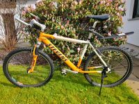 Herren / Jugend Mountainbike Fahrrad Stevens Bayern - Steingaden Vorschau