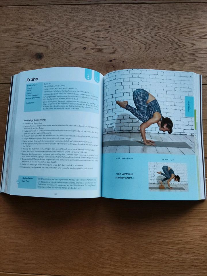 Yoga Buch. 1x durchgeblättert. Originalpreis 25€. in Würzburg