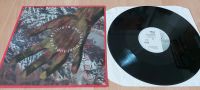 Simple Minds, This Is Your Land 12"Maxi Single Vinyl Düsseldorf - Düsseltal Vorschau