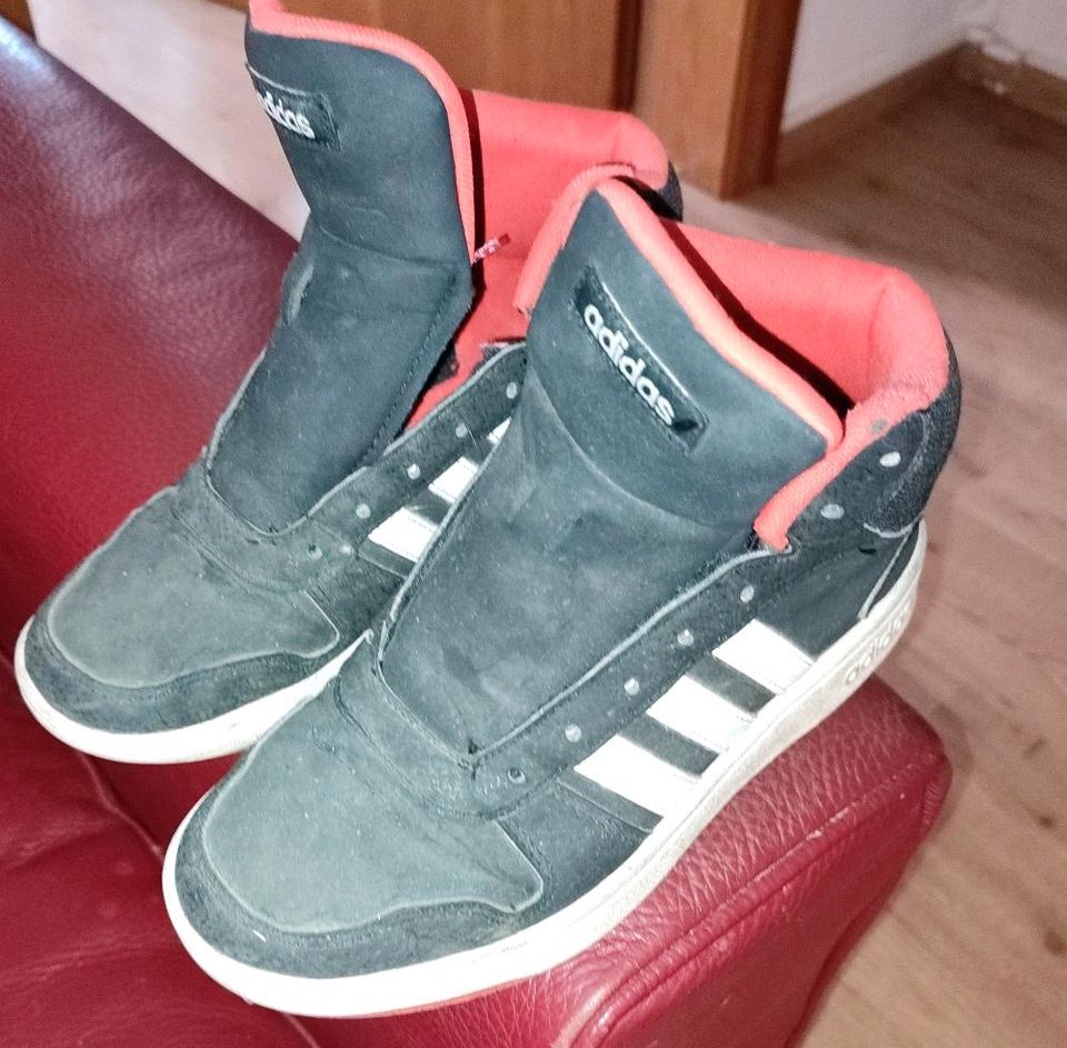 Adidas Basketball Stiefel 37,5 getragen in Hannover