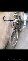 Herren Fahrrad gebraucht Hessen - Rüsselsheim Vorschau