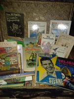 Bücher gebraucht ( viele aus DDR Zeiten ) Sachsen - Klingenberg (Sachsen) Vorschau