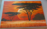 XL WANDBILD AFRIKA 114cm sonst 89€ Hamburg-Mitte - Hamburg Billstedt Vorschau