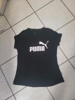 Shirt  Sweatshirt  Puma Bayern - Deggendorf Vorschau