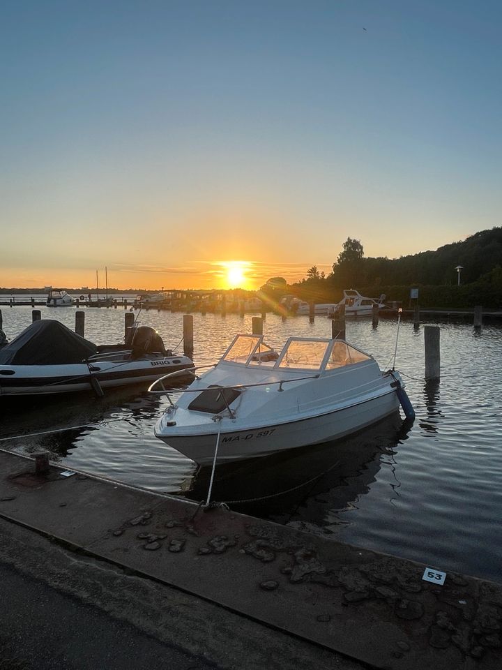 BAYLINER Capri Sportboot mit 4-Takt Suzuki DF70 und Trailer in Winsen (Aller)