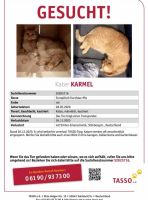 Roter Kater Nordrhein-Westfalen - Marl Vorschau