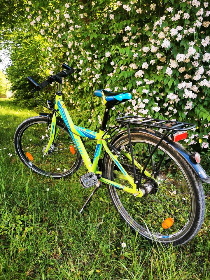 Fahrrad Falter in Wunstorf