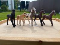 Schleich Figuren/ Sets/ Pferde Konvolut Nordrhein-Westfalen - Ahaus Vorschau