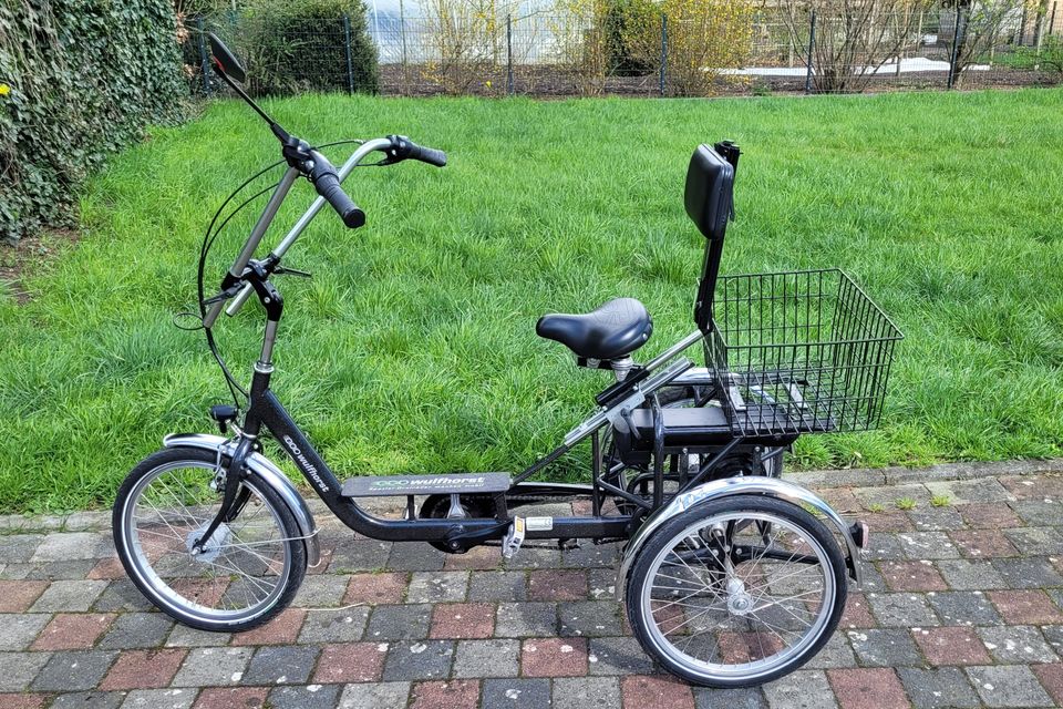Wulfhorst Therapie-Elektro-Dreirad 20 Zoll für Erwachsene E-Bike in Versmold