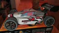 Reely Ranger 1:10 Buggy Brushed Dresden - Gompitz Vorschau