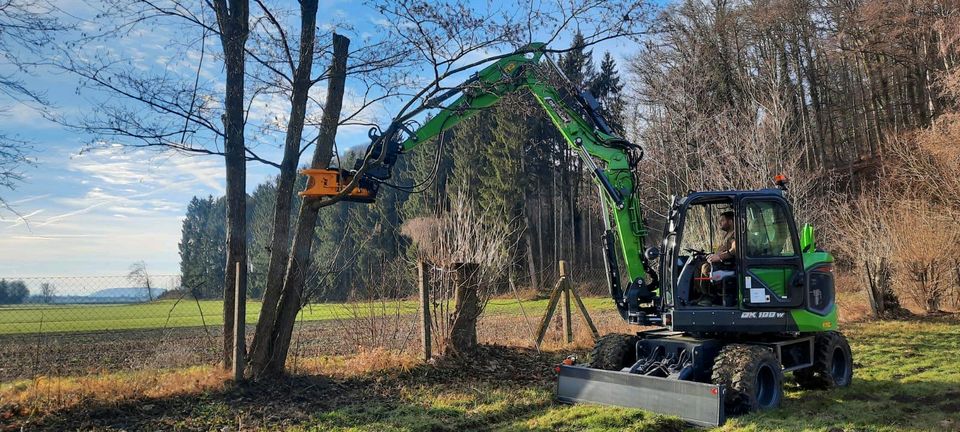 Fällarbeiten / Rodungen / Fällgreifer / Mobilbagger in Dietenheim