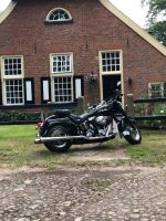 Ich biete hier meine Harley Davidson an Niedersachsen - Nordhorn Vorschau