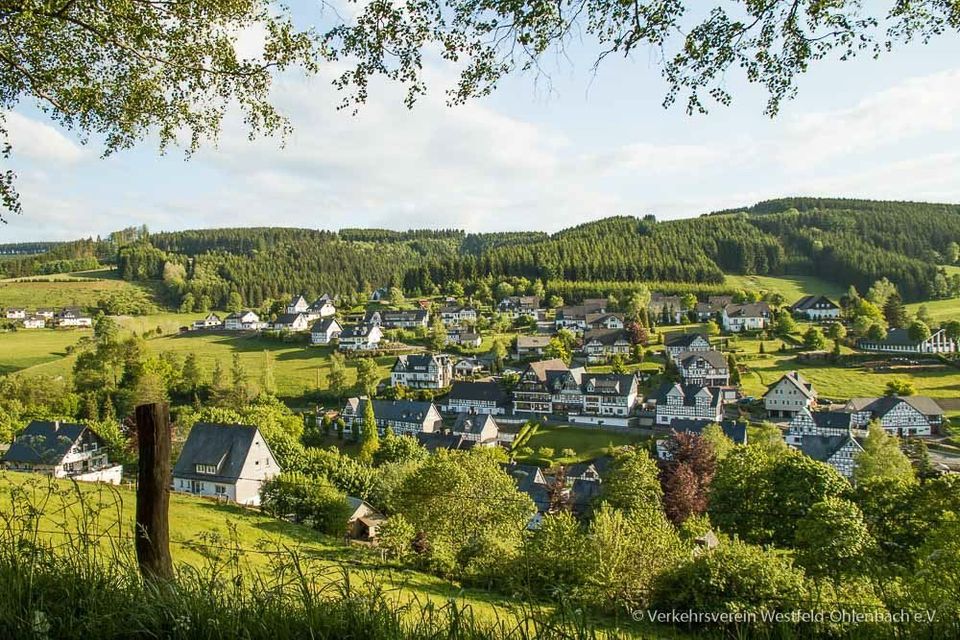 Tolle Dachgeschoss Wohnung  mit 2 Schlafzimmern im wunderschönen Westfeld bei Schmallenberg/Winterberg in Schmallenberg